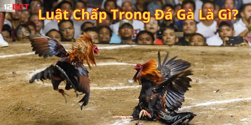 Luật chấp xuất hiện khi chiến kê không có sự tương đồng