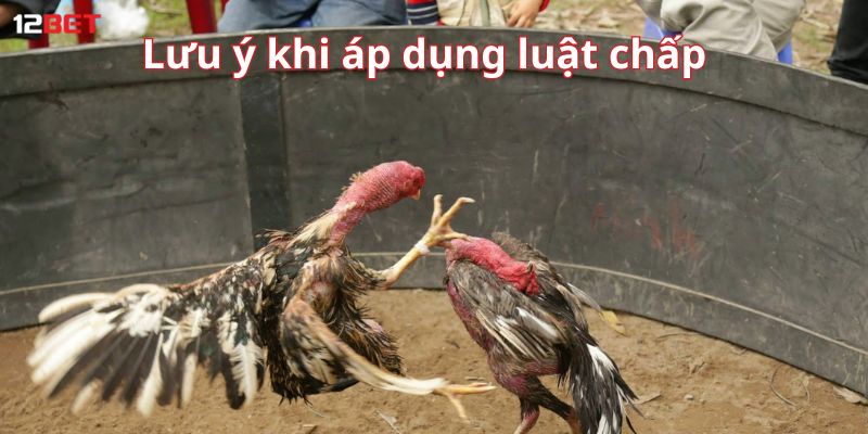 Lưu ý khi áp dụng luật chấp