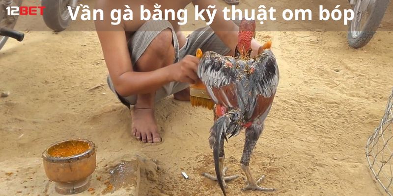 Vần gà bằng kỹ thuật om bóp