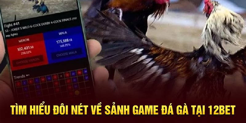 Cá cược đá gà tại nhà cái 12Bet phân làm 2 loại Meron và Wala