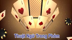 Người chơi cần phải nắm bắt những thuật ngữ trong bài phỏm