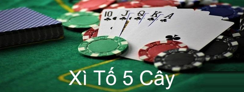 Luật cược xì tố 5 cây 12Bet đổi thưởng không quá khó với người mới